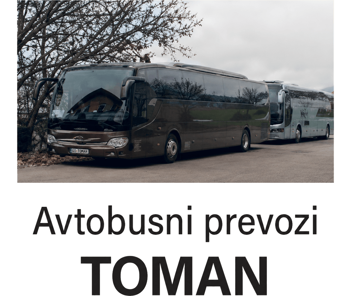 Avtobusni prevozi Toman